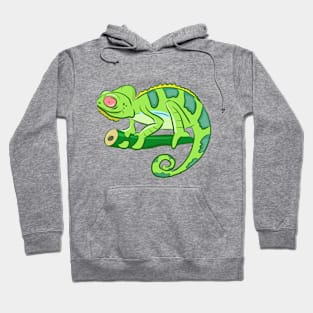 Cute Colorful Chameleon Hoodie